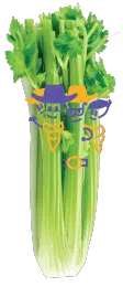 Cedric Celery