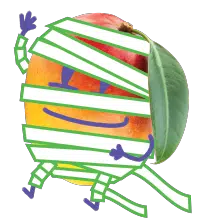 Maggie Mango